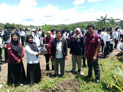 Di Kebumen KPPS Tanam Ribuan Pohon Usai Dilantik Bentuk Tanggung