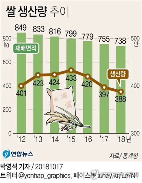 그래픽 쌀 생산량 추이 연합뉴스