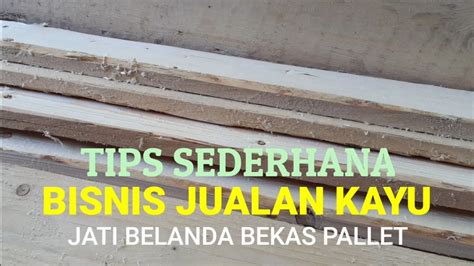 Tips Bisnis Jualan Kayu Jati Belanda Peluang Dan Resiko Nyetok Bahan