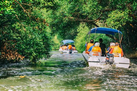 Taman Wisata Alam Twa Angke Kapuk