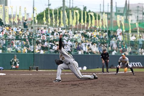 【阪神】現役ドラフト加入の大竹耕太郎、3回無安打で開幕ローテに大前進「結果にこだわった」 プロ野球写真ニュース 日刊スポーツ