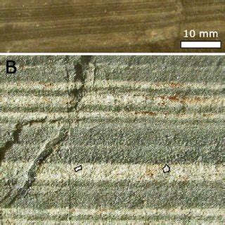 A -The "varves" in the Gowganda Formation are commonly subdivided into ...