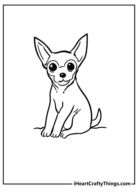 Chihuahua Coloring Pages Printables