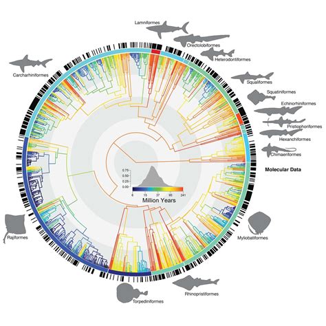 Species New To Science Ichthyology • 2018 Conserving The