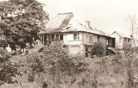 An Old Black And White Photo Of A House In The Middle Of Some Bushes