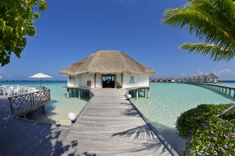 Safari Island Resort The Maldives Experts For All Resort Hotels And