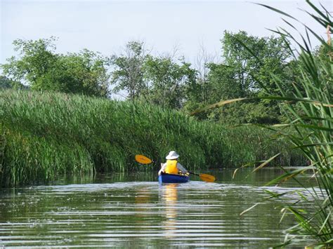 Retirement Journeys Byng Island Conservation Area On Trip 14 July