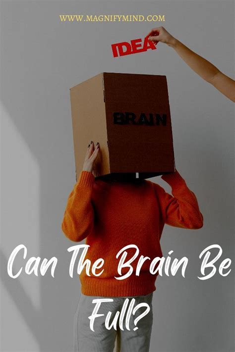 Can The Brain Be Full By Information Heres What You Should Know