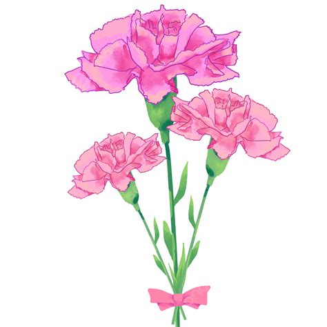 Mothers Day Png Image Mothers Day Carnation Spring Bouquet Mother