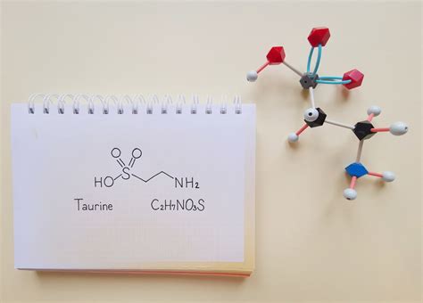 Does Taurine Deficiency Speed Up Aging? - Primenewsprint