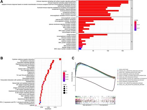 Frontiers Construction And Validation Of A 6 Ferroptosis Related Gene