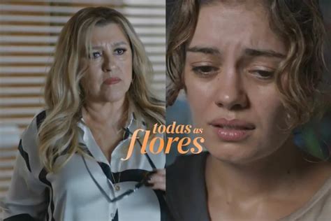 Quando Acaba Todas As Flores Novelas No Jornal DCI