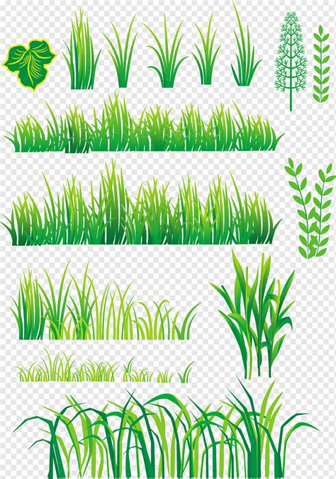 Bamboo Grass Pattern Png Pngwing