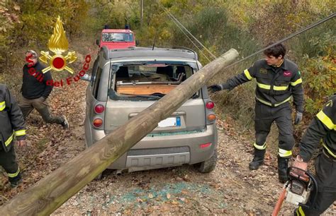 Tragedia Sfiorata Albero Si Schianta Su Un Auto In Alto Tevere