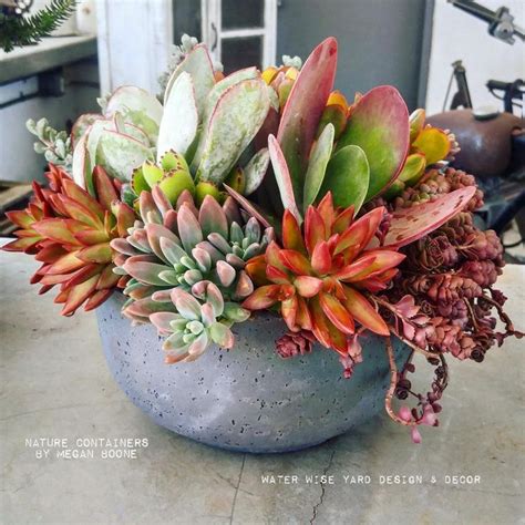 Colorful Succulent Arrangement By Megan Boone Succulents Colorful Succulents Succulents Diy