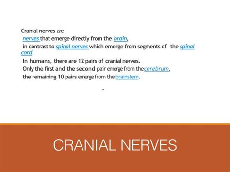 Cranial Nerves Medicine 12345678911223 Ppt