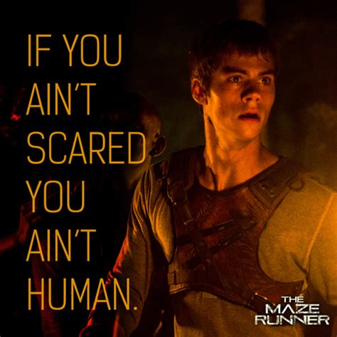 The Maze Runner Quotes Quotesgram