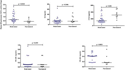 The S Proteasome Chymotrypsin Like Cht L Activity Il Ccl