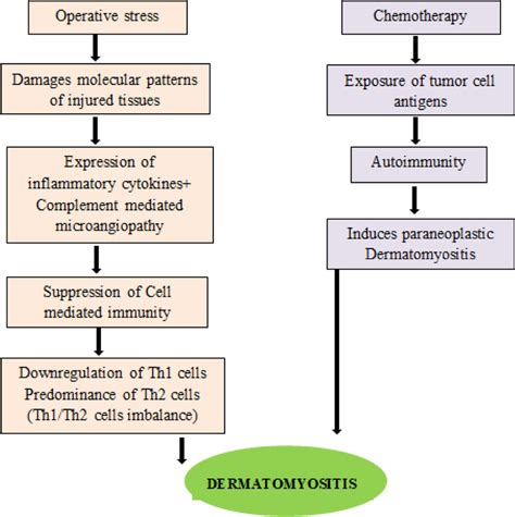 Potential pathogenesis of malignancy associated DM | Download ...