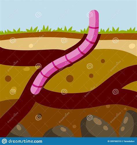 Worm In Ground Spring Concept Burrows And Passages Nature And Insect