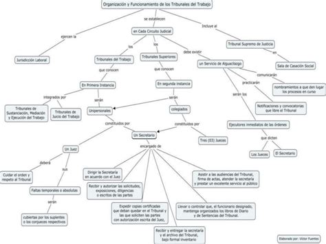 Organización de los tribunales PPT