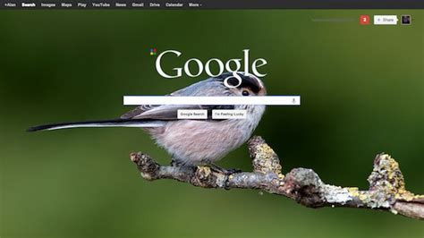 Custom Google Background for Chrome Personalizes Your Google Searches