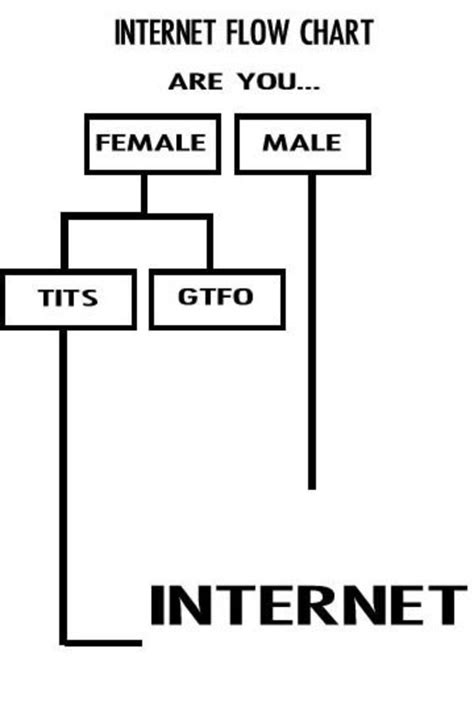 Internet Flow Chart Tits Or GTFO Know Your Meme