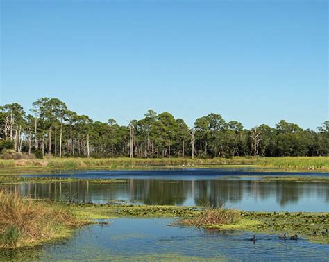 A Visitor's View of Wakulla County