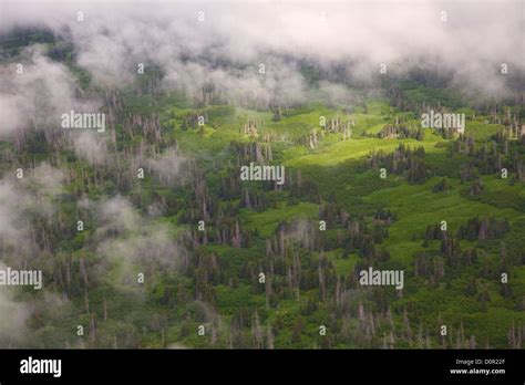 Aerial along Cook Inlet, Alaska Stock Photo - Alamy