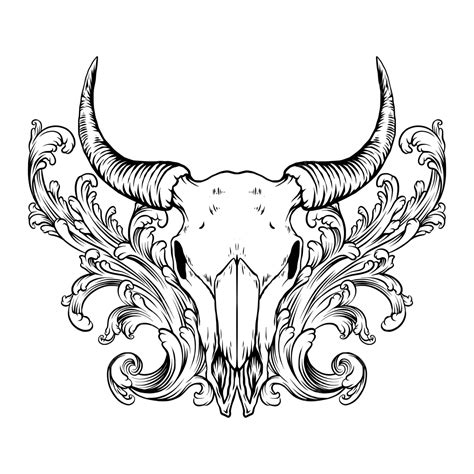 Bull Skull Drawings