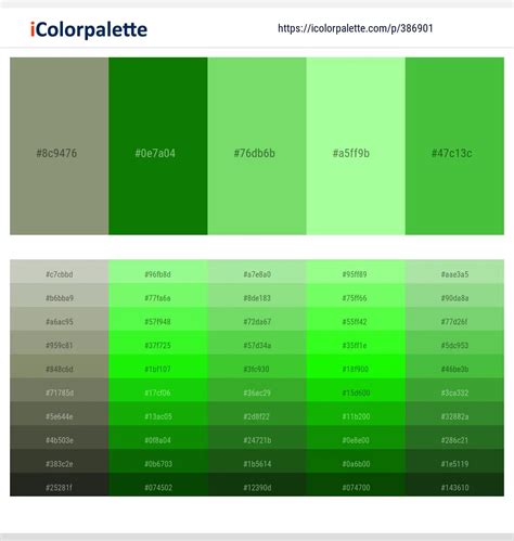 170+ Latest Color Schemes with Mint Green Color tone combinations ...