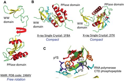 Biomolecules | Special Issue : RNA-Binding Proteins—Structure, Function ...