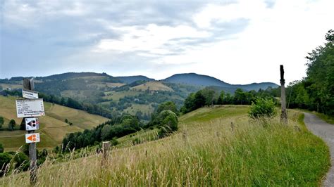 Circuit Rando Sur Les Hauteurs Du Bonhomme Visit Alsace