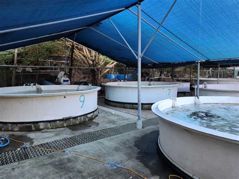 Somerville Edinburgh Award - The West End Magazine | 4101 Brisbane