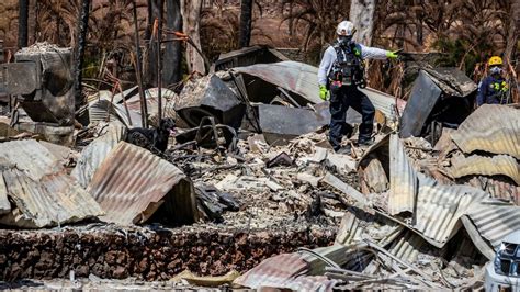 Environmental impacts of Maui wildfires will last for years to come, experts say - ABC News