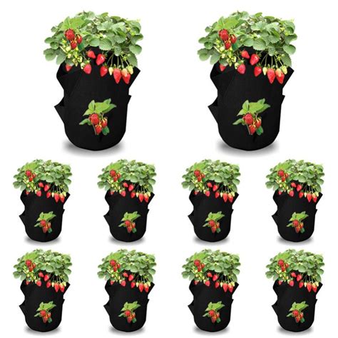 Lot De Sacs Plantes Accessoires Pour Plantes Sac Plantes Sac