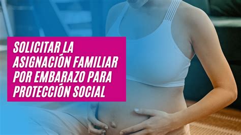 Solicitar La Asignaci N Familiar Por Embarazo Para Protecci N Social