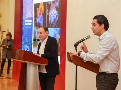 Sistema Arrecifal Artificial Sonorense Será Hábitat De Flora Y Fauna Marina