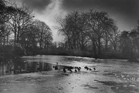 24 Picturesque Shots Showing Prestons Historic Moor Park In All Its