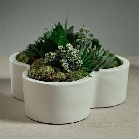 White Earthenware Flower Shape Planter Bowl By Zodax Seven Colonial