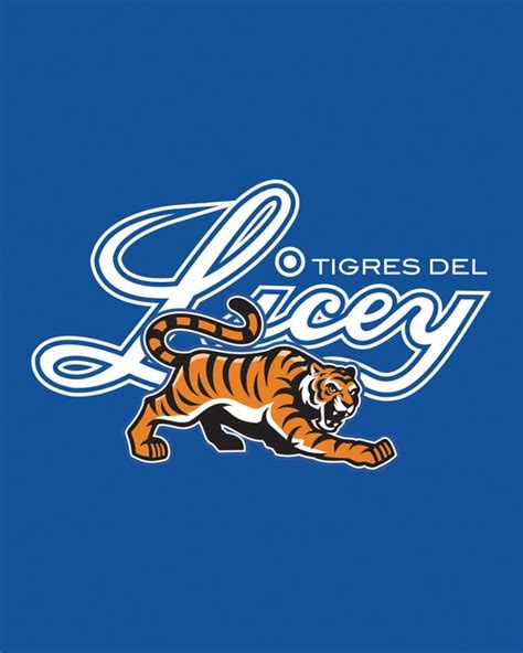 Camiseta Del Licey Ubicaciondepersonascdmxgobmx