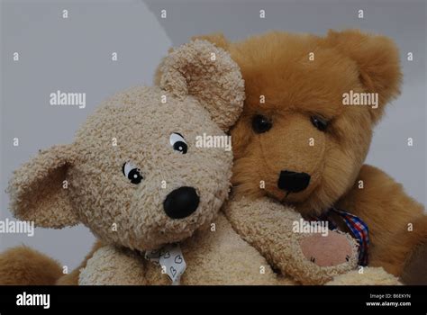 Two Bears Hugging Hi Res Stock Photography And Images Alamy