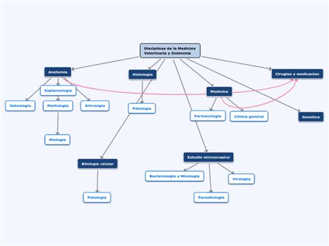 Disciplinas De La Medicina Veterinaria Y Z Mind Map