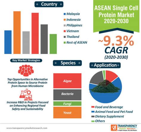 Single Cell Protein Market Global Industry Report 2031