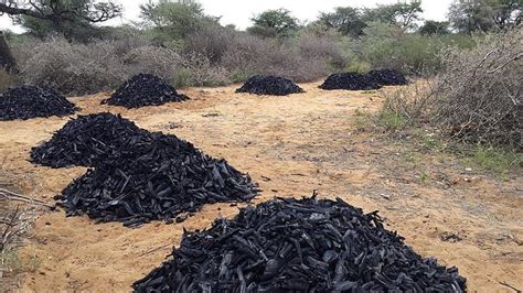 Value Addition Can Boost Local Charcoal Industry Namibia