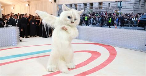 Jared Leto Steals the Show at 2023 Met Gala with Life-Size Cat Costume ...