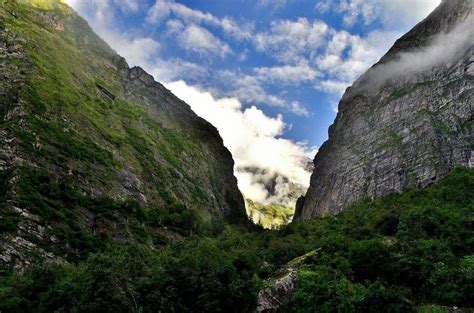 Trek To Valley Of Flowers Hemkund Sahib Tripoto