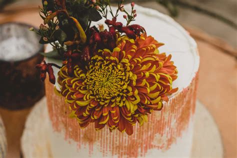 360 Best Cake Captions For Instagram To Add Extra Sweetness