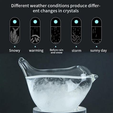 Storm Glass Weather Forecaster Weather Predictor Barometer Weather Station For Office Desktop