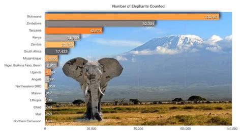 African Elephant Population Graph